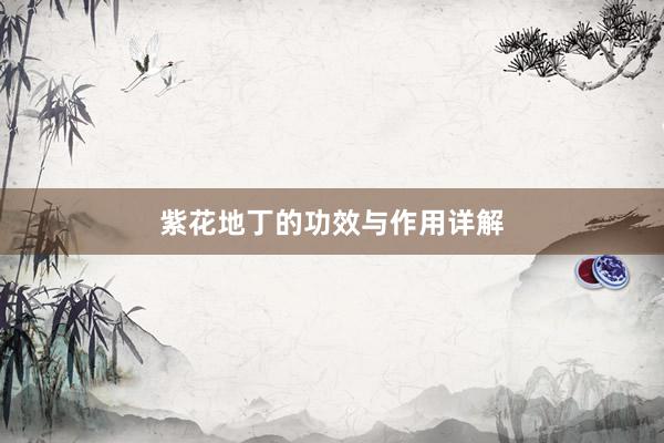 紫花地丁的功效与作用详解